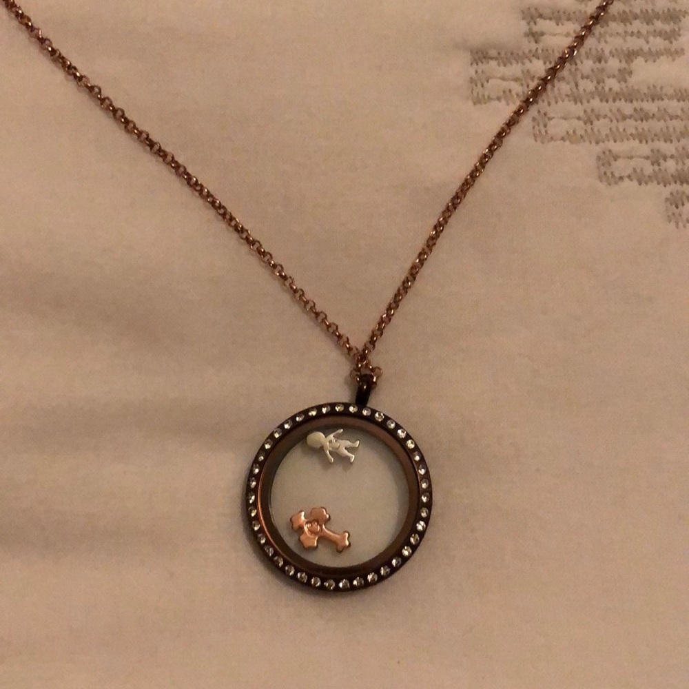 Origami owl necklace